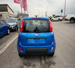 Auto - Fiat panda 1.0 firefly s&s hybrid 5 posti