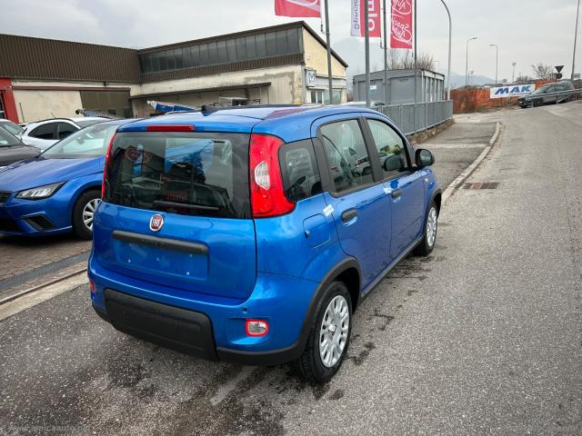 Auto - Fiat panda 1.0 firefly s&s hybrid 5 posti