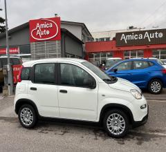 Auto - Fiat panda 1.0 firefly s&s hybrid 5 posti