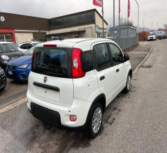 Auto - Fiat panda 1.0 firefly s&s hybrid 5 posti