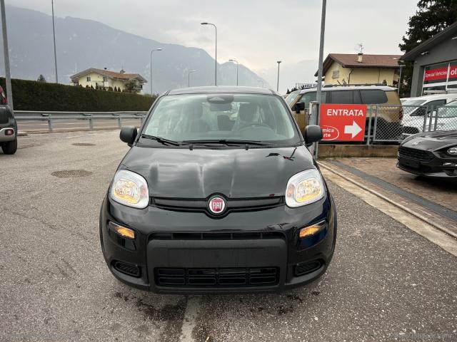 Auto - Fiat panda 1.0 firefly s&s hybrid 5 posti