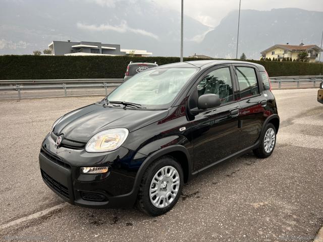 Auto - Fiat panda 1.0 firefly s&s hybrid 5 posti