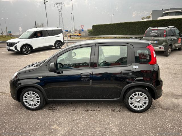 Auto - Fiat panda 1.0 firefly s&s hybrid 5 posti