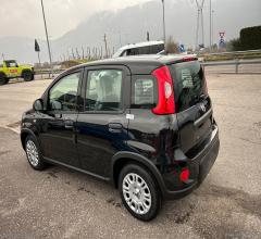 Auto - Fiat panda 1.0 firefly s&s hybrid 5 posti