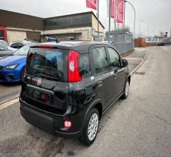 Auto - Fiat panda 1.0 firefly s&s hybrid 5 posti