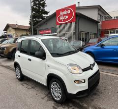 Auto - Fiat panda 1.0 firefly s&s hybrid 5 posti