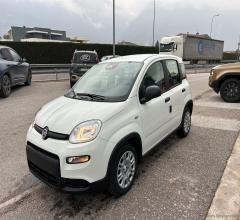 Auto - Fiat panda 1.0 firefly s&s hybrid 5 posti