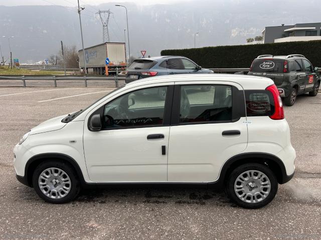 Auto - Fiat panda 1.0 firefly s&s hybrid 5 posti