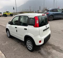 Auto - Fiat panda 1.0 firefly s&s hybrid 5 posti