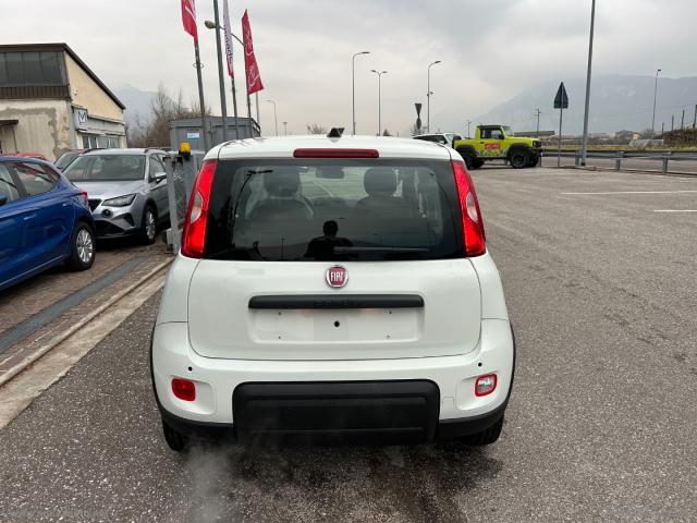 Auto - Fiat panda 1.0 firefly s&s hybrid 5 posti