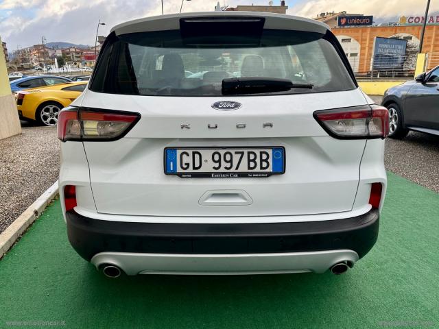 Auto - Ford kuga 1.5 ecoblue 120 cv 2wd connect