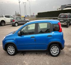 Auto - Fiat panda 1.0 firefly s&s hybrid 5 posti