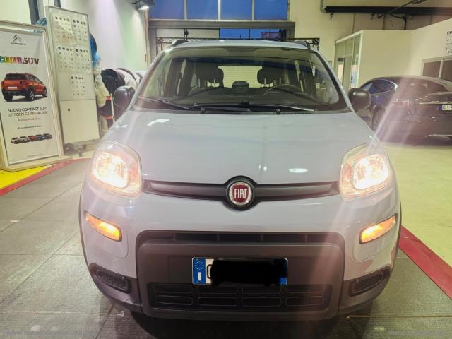 Auto - Fiat panda 1.0 firefly s&s hybrid sport