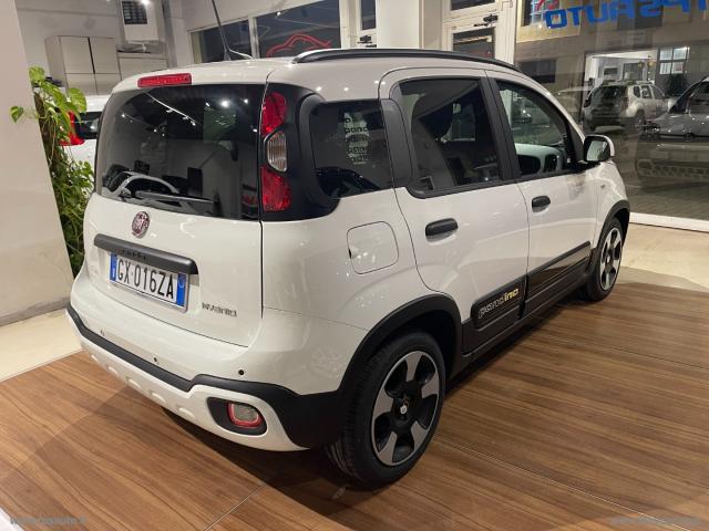 Auto - Fiat panda 1.0 firefly s&s hybrid pandina