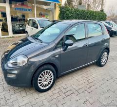 Auto - Fiat punto 1.2 8v 5p. street