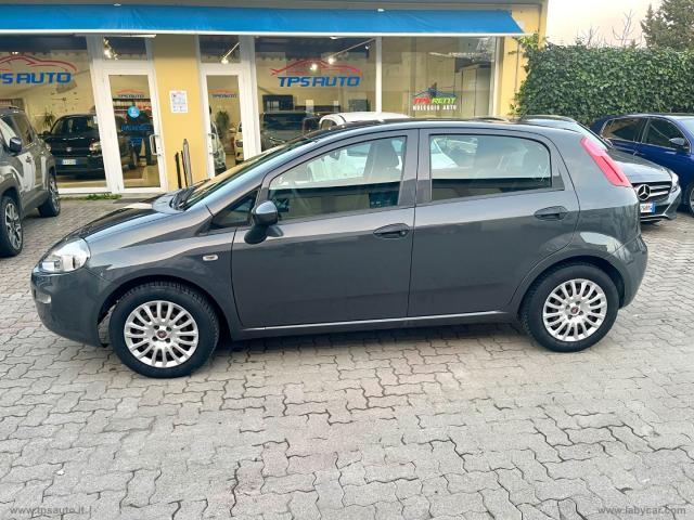 Auto - Fiat punto 1.2 8v 5p. street