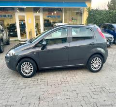 Auto - Fiat punto 1.2 8v 5p. street