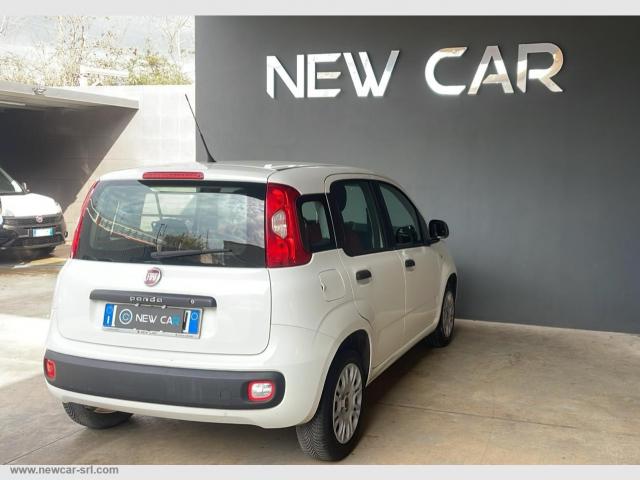 Auto - Fiat panda 1.2 easy van 4 posti