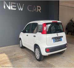 Auto - Fiat panda 1.2 easy van 4 posti