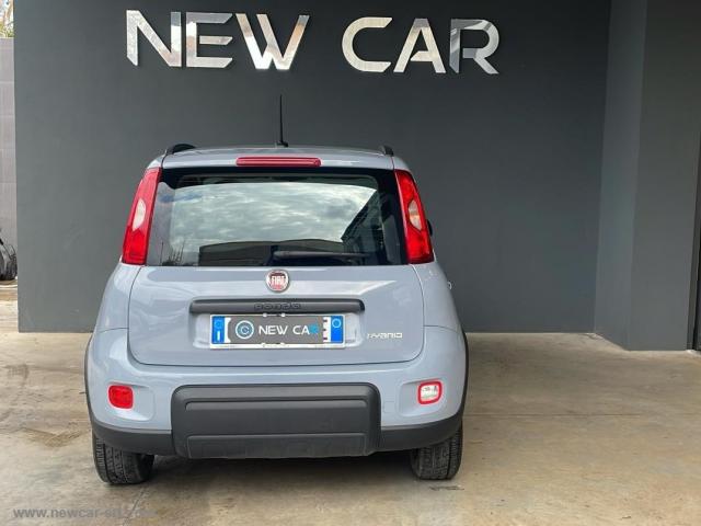 Auto - Fiat panda 1.0 firefly s&s hybrid city life