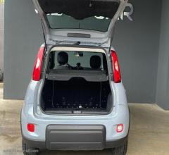 Auto - Fiat panda 1.0 firefly s&s hybrid city life