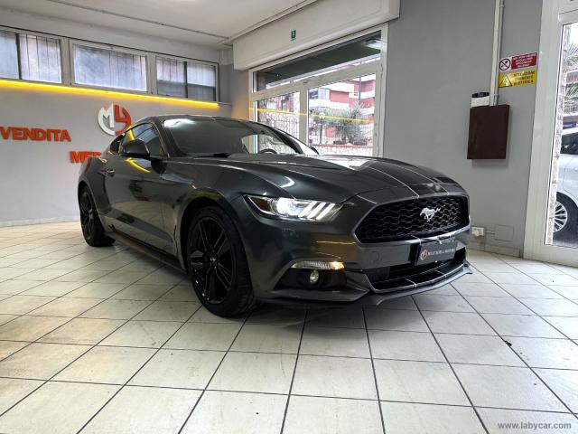 Ford mustang fastback 2.3 ecoboost