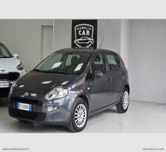 Auto - Fiat punto 1.2 8v 5p. street