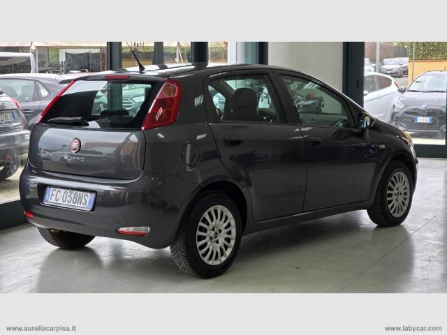 Auto - Fiat punto 1.2 8v 5p. street