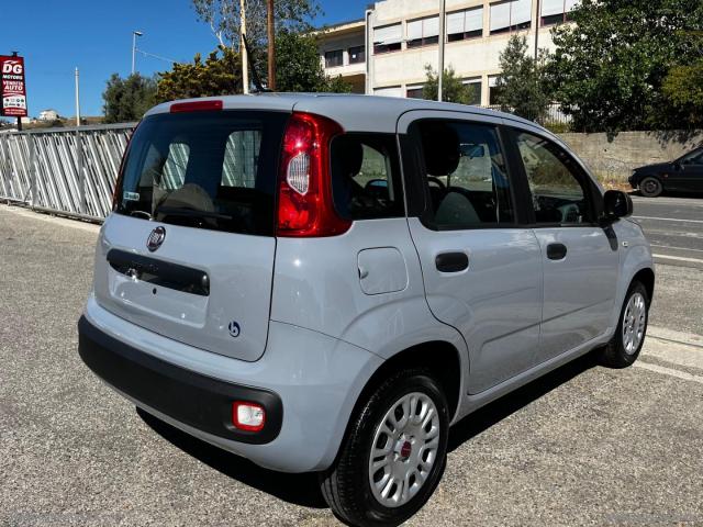 Auto - Fiat panda 1.2 easy