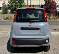 Auto - Fiat panda 1.2 easy