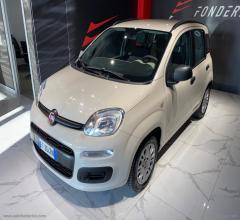 Auto - Fiat panda 1.2 pop