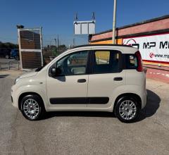 Auto - Fiat panda easy gpl 1.2 69cv