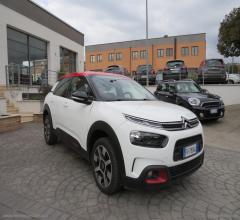 Auto - Citroen c4 cactus bluehdi 100 s&s shine