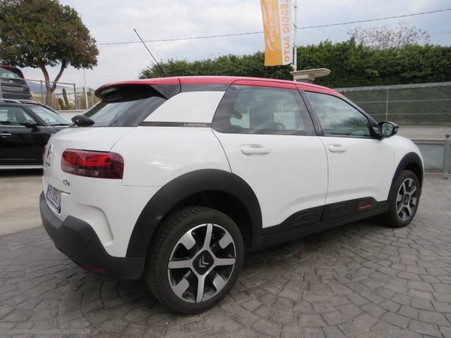 Auto - Citroen c4 cactus bluehdi 100 s&s shine