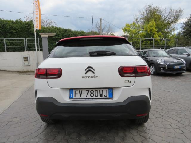 Auto - Citroen c4 cactus bluehdi 100 s&s shine