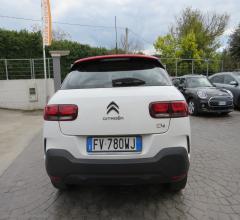 Auto - Citroen c4 cactus bluehdi 100 s&s shine