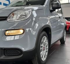 Auto - Fiat panda 1.0 firefly s&s hybrid