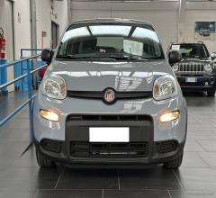 Auto - Fiat panda 1.0 firefly s&s hybrid