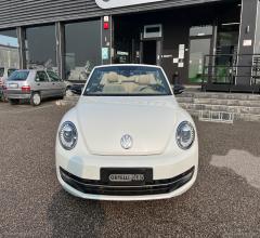 Auto - Volkswagen maggiolino 2.0 tdi 150cv dsg sport bmt