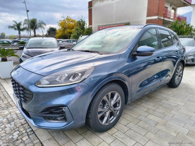 Auto - Ford kuga 1.5 ecoblue 120 cv 2wd st-line