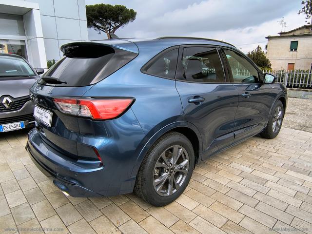 Auto - Ford kuga 1.5 ecoblue 120 cv 2wd st-line