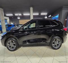 Auto - Ford kuga 2.0 ecoblue 120 cv aut. 2wd st-line