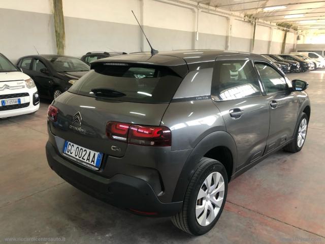 Auto - Citroen c4 cactus bluehdi 100 s&s feel