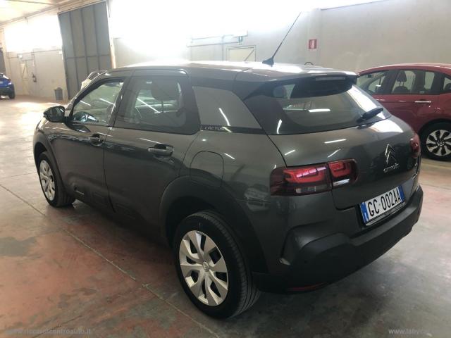 Auto - Citroen c4 cactus bluehdi 100 s&s feel