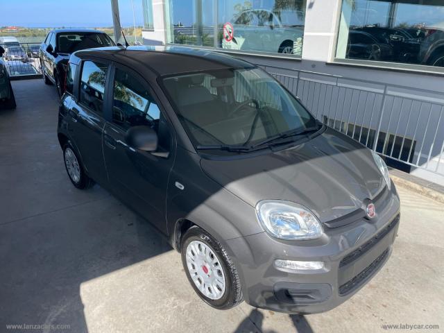 Auto - Fiat panda 1.0 firefly s&s hybrid easy