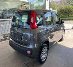 Auto - Fiat panda 1.0 firefly s&s hybrid easy