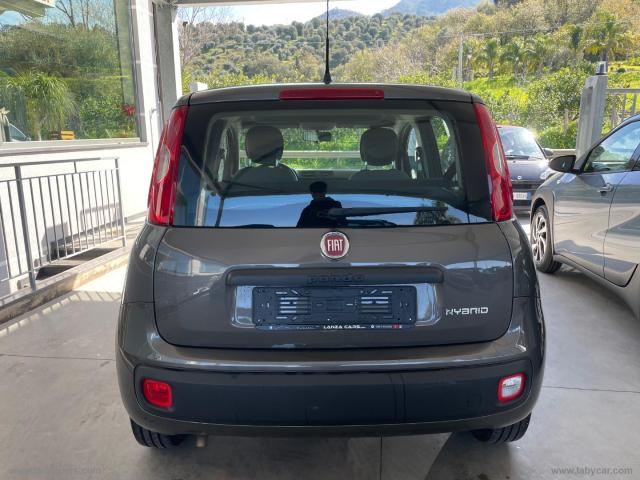 Auto - Fiat panda 1.0 firefly s&s hybrid easy