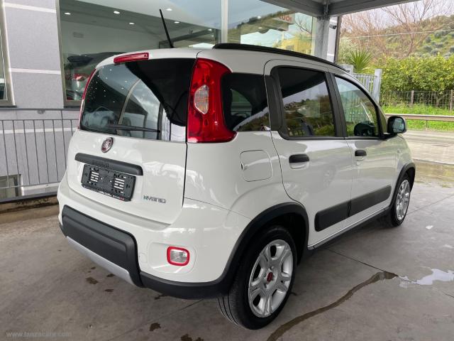 Auto - Fiat panda 1.0 firefly s&s hybrid