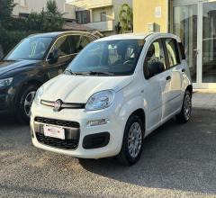 Auto - Fiat panda 1.2 easy