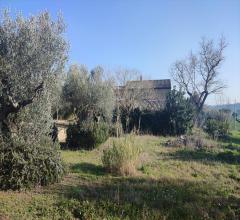 Appartamenti in Vendita - Casale in vendita a città sant'angelo zona agricola